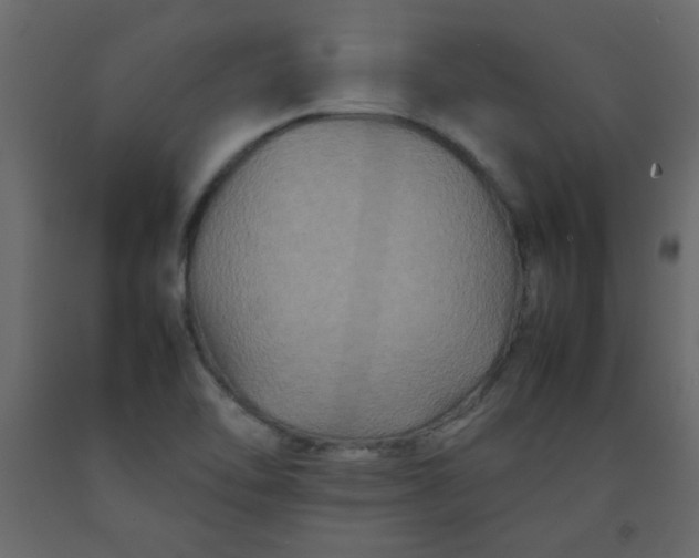 X0000092211462200710051126