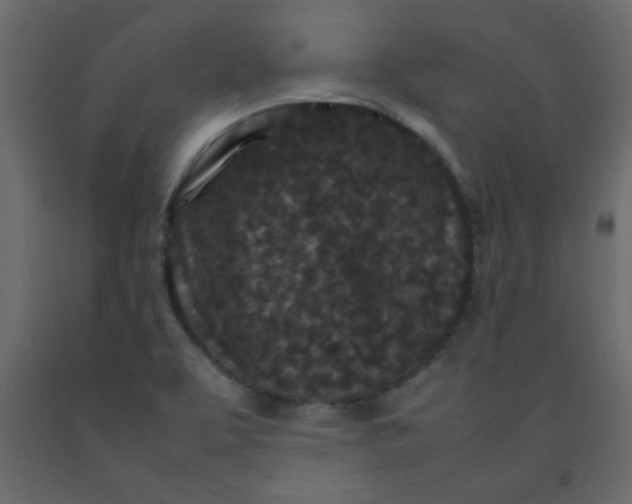 X0000092211463200710051126