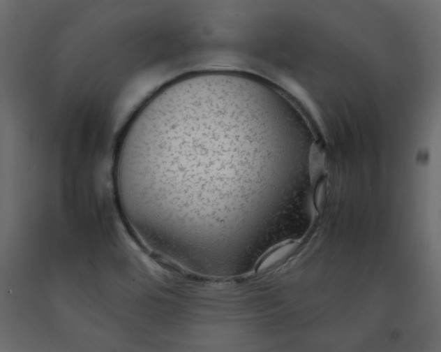 X0000092211464200710051126