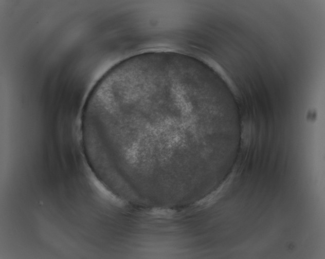 X0000092211466200710051126