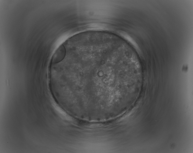 X0000092211467200710051126