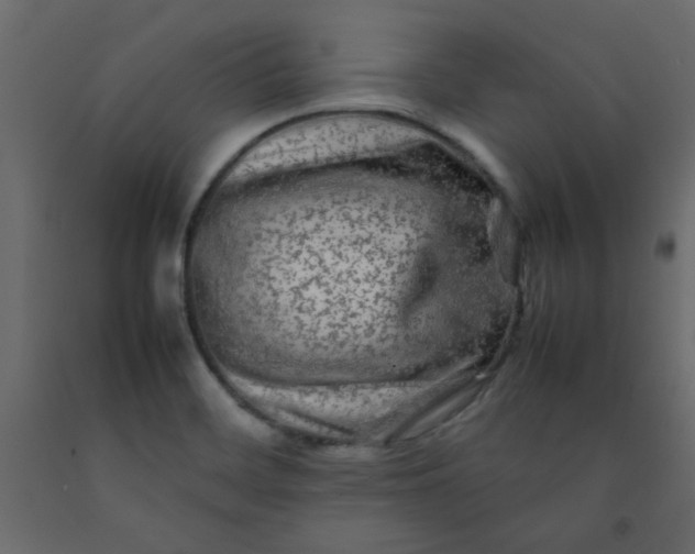 X0000092211468200710051126