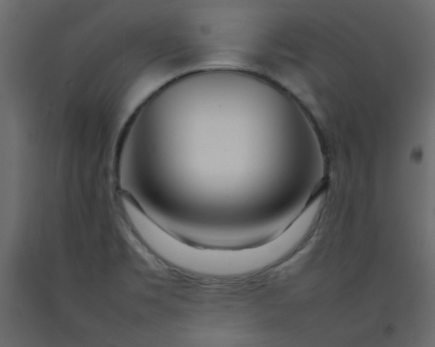 X0000092211469200710051126