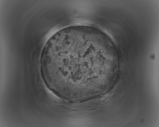 X0000092211471200710051126