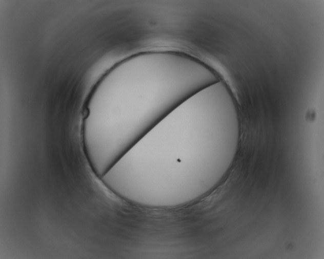 X0000092211472200710051126