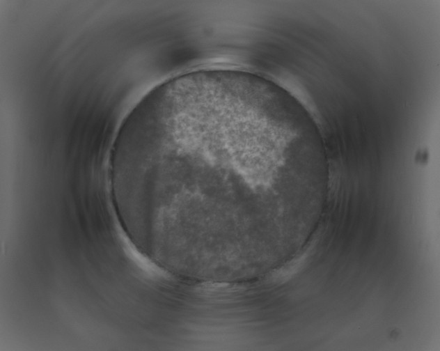 X0000092211474200710051126