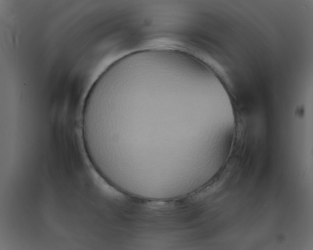 X0000092211478200710051126