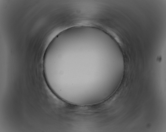 X0000092211479200710051126