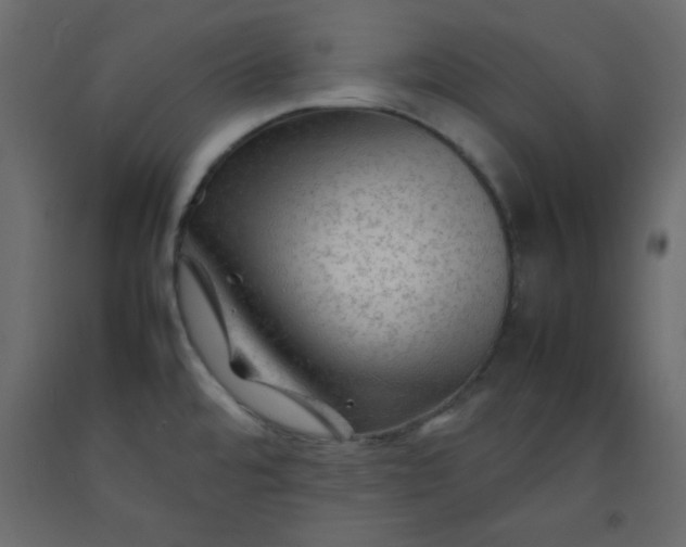 X0000092211480200710051126