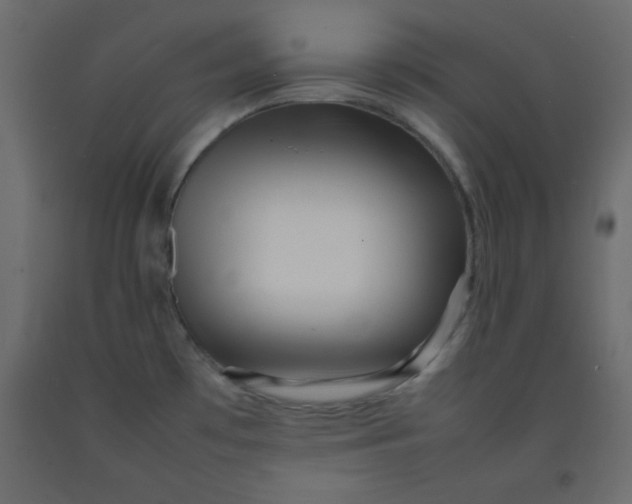 X0000092211481200710051126