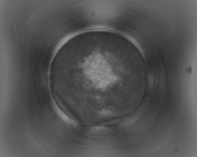 X0000092211482200710051126