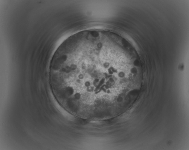 X0000092211483200710051126