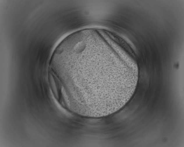 X0000092211484200710051126