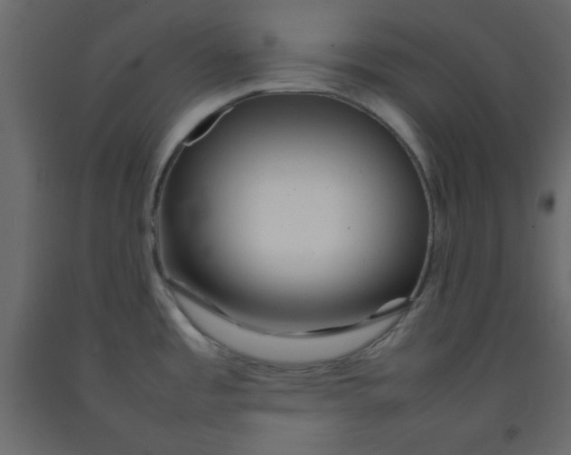 X0000092211485200710051126