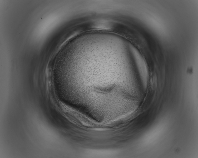 X0000092211487200710051126