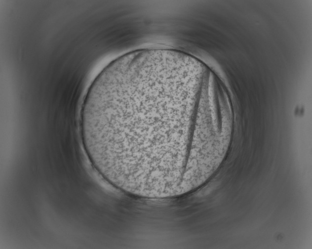 X0000092211488200710051126