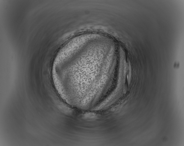 X0000092211489200710051126