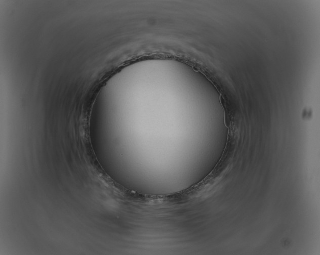 X0000092211490200710051126