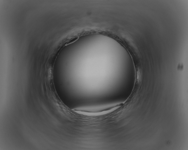 X0000092211492200710051126