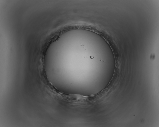 X0000092211493200710051126