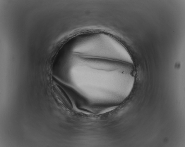 X0000092211494200710051126