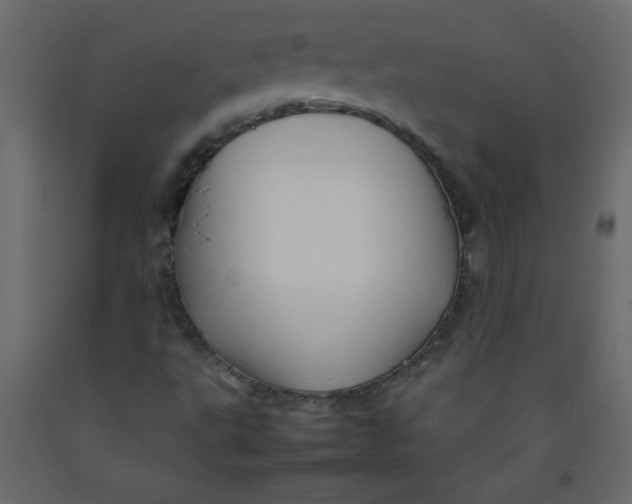 X0000092211495200710051126