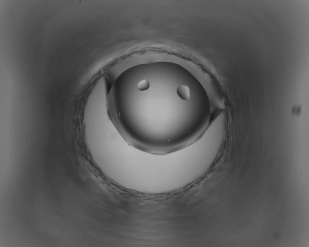 X0000092211496200710051126