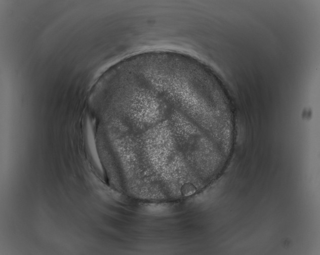 X0000092211497200710051126