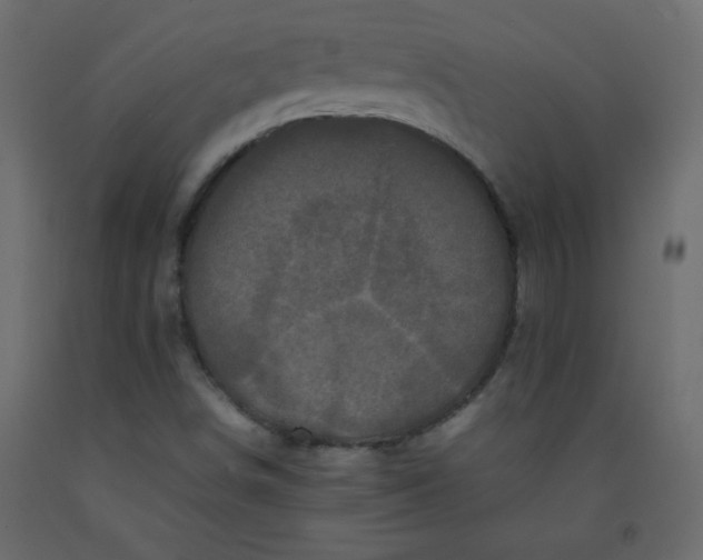 X0000092211498200710051126