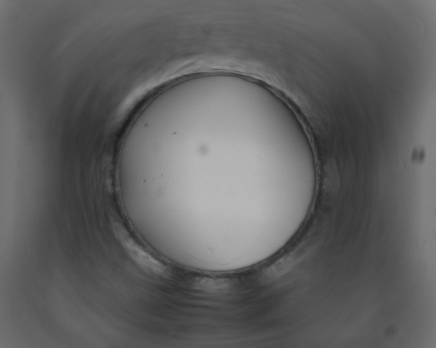 X0000092211499200710051126