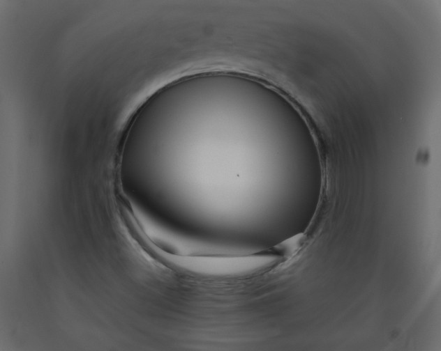 X0000092211500200710051126