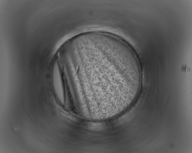 X0000092211501200710051126