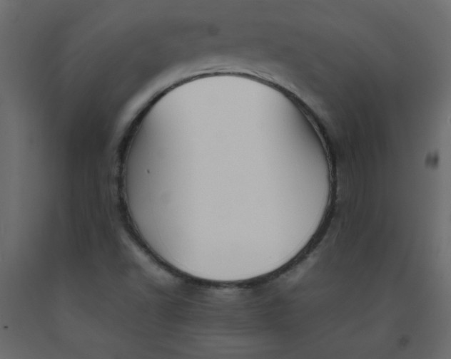 X0000092211502200710051126