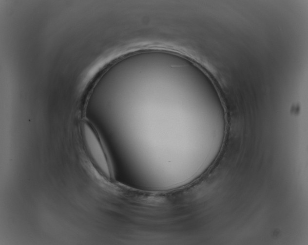 X0000092211503200710051126