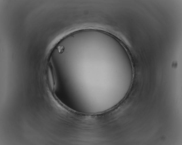 X0000092211504200710051126