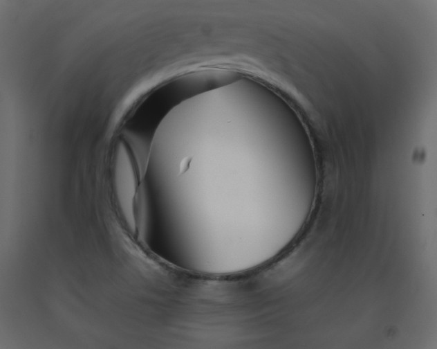 X0000092211506200710051126