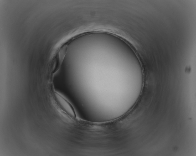 X0000092211507200710051126