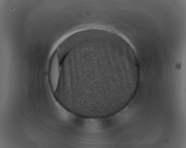 X0000092211508200710051126