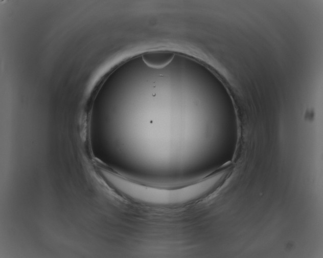 X0000092211510200710051126