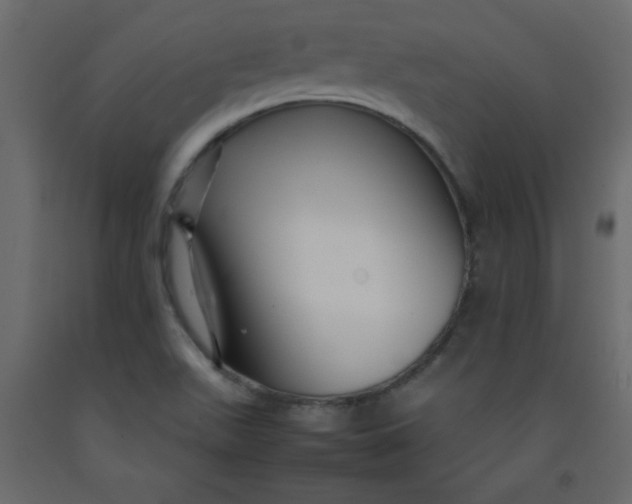 X0000092211511200710051126