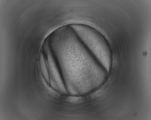 X0000092211513200710051126