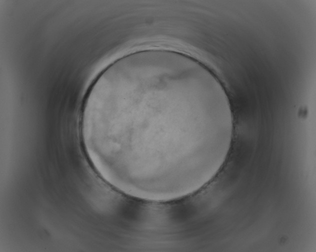 X0000092211514200710051126