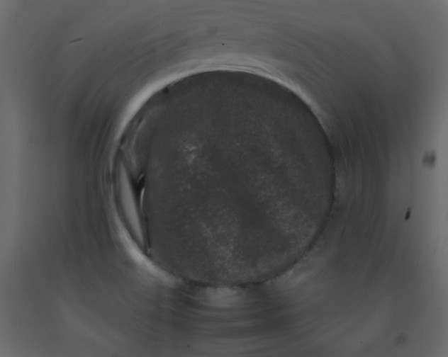 X0000092211515200710051126