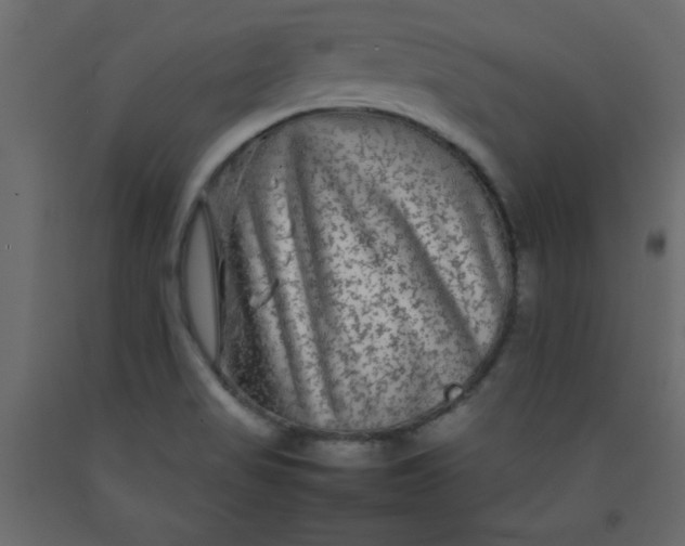 X0000092211517200710051126