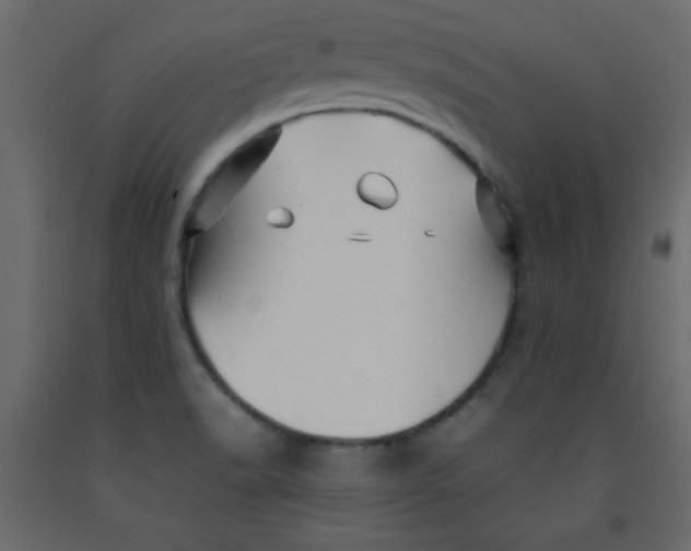 X0000092211518200710051126