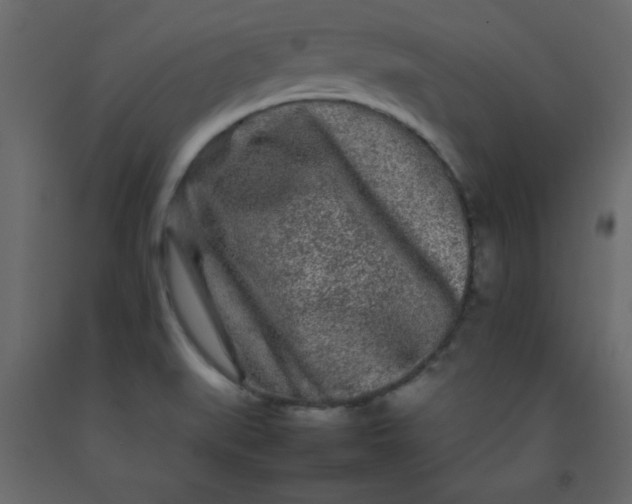 X0000092211519200710051126