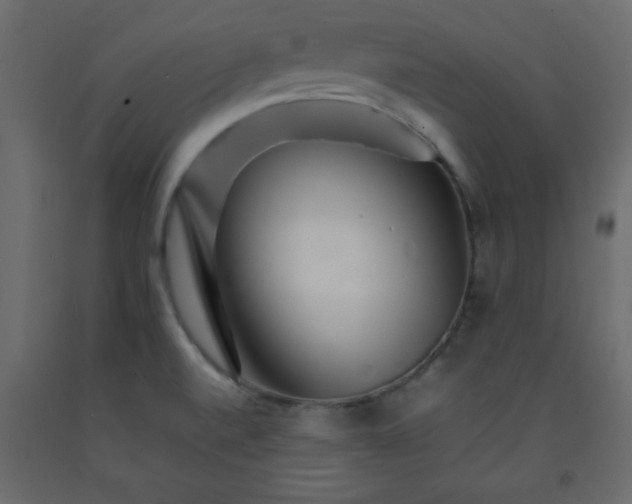 X0000092211520200710051126