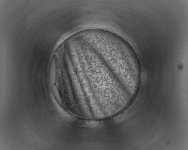 X0000092211521200710051126