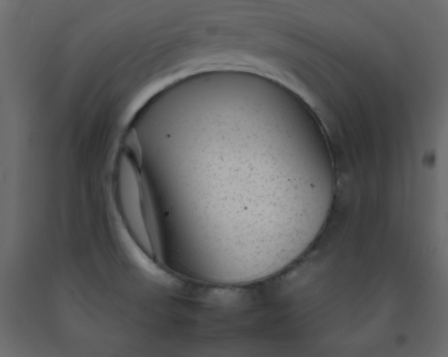 X0000092211523200710051126