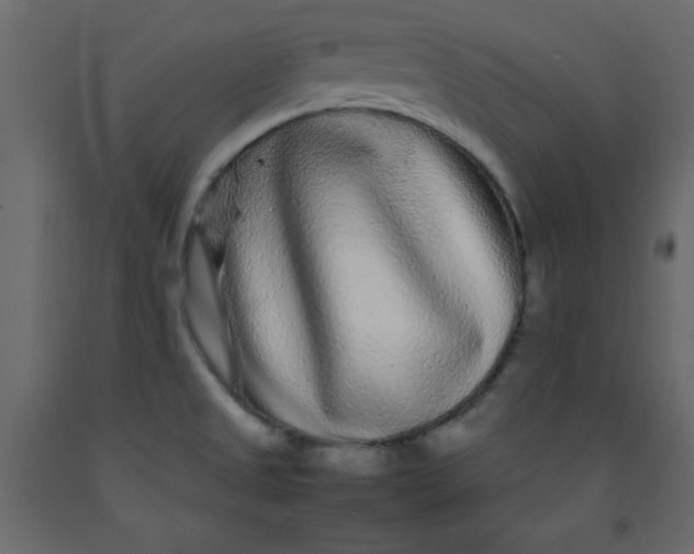 X0000092211525200710051126